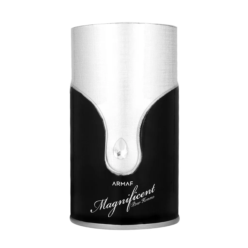 Magnificent Pour Homme